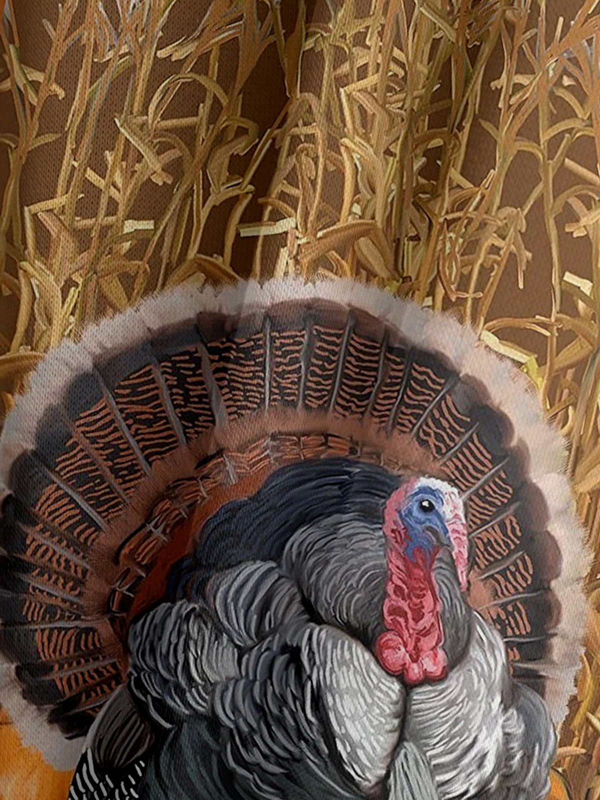 Men's Thanksgiving Turkey Pumpkin Graphic Print Hoodie