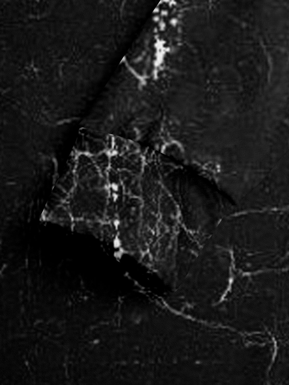 City Text Letter Casual Hoodie