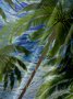 Men's Art Oil Painting Coconut Tree Series Printing Casual Breathable Hawaiian Short Sleeve Shirt