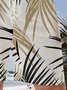 Palm Leaf Drawstring Bermuda Casual Short