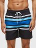 The Blue Stripe Casual Paneled Swimsuits Bottoms